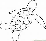 Hatchling Coloringpages101 Turtles sketch template