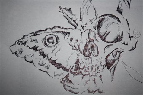 butterfly skull drawings skulls drawing skull coloring pages skull