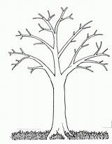Tree Coloring Pages Printable Mormon Bare Preschool Leaf Source Trees sketch template