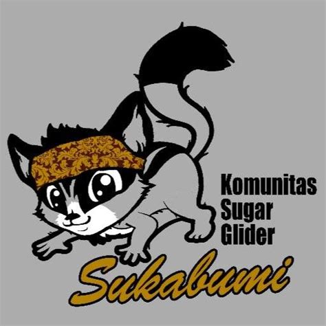 komunitas sugar glider sukabumi komunitas indonesia