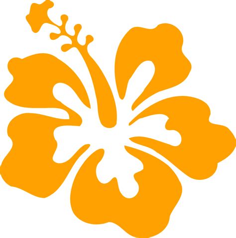 hibisco flor graficos vectoriales gratis en pixabay