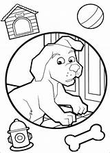 Pets Wonder Coloring Pages Disegni Fun Color Pm Posted Popular sketch template