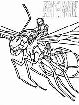 Ant Man Coloring Pages Printable Lego Antman Wasp Kids Avengers Marvel Toddler Realistic Captain America Superhero Ants Choose Board Template sketch template
