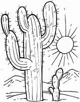 Cactus Coloring Pages Drawing Do Colouring Desert Flower Drawings sketch template