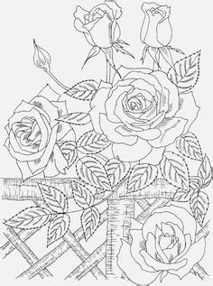 images  adult coloring pages  pinterest coloring books