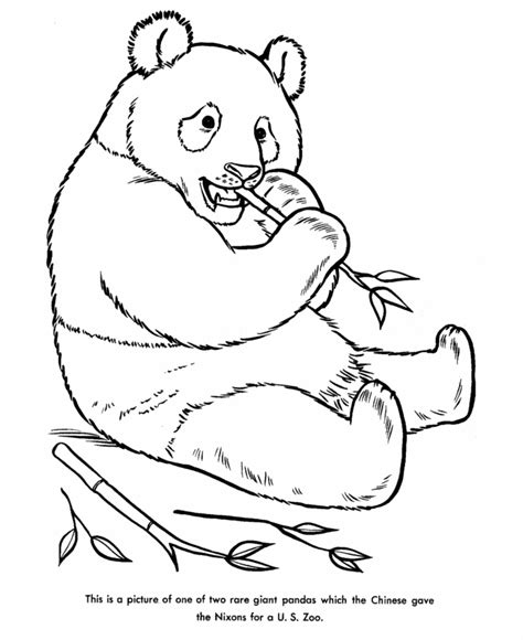 panda bear coloring pages getcoloringpagescom