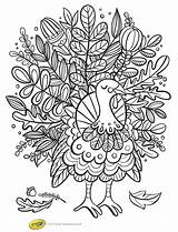 Kidspartyworks Toddlers Zentangle Colouring sketch template