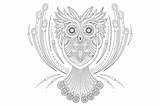 Zentangle Owl Coloring sketch template