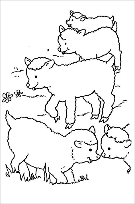 sheep coloring pages coloringbay