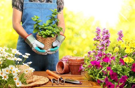 Jardinería Más Que Un Hobby Para El Tiempo Libre Emblituania