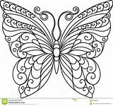 Butterfly Outline Drawing Coloring Template Pages Patterns Paper Butterflies Quilling Designs Whimsical Beautiful Pattern Dreamstime Mandala Stock Sketch Zenspiration Visit sketch template