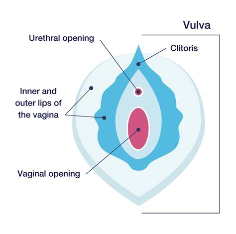 feminine wellness and vaginal care