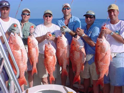 destin deep sea fishing  catch fish  proof charters