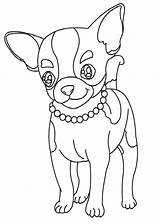 Chihuahua Perros Dibujosparacolorear Clic sketch template