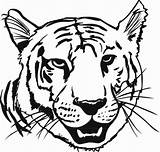 Tiger Coloring Pages Face Head Print Tigers Kids Printable Drawing Animal Color Heads Bengal Book Tigre Faces Sheets Colorier Coloriage sketch template