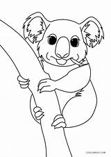 Koala Zum Malvorlagen Ausmalen Cool2bkids sketch template