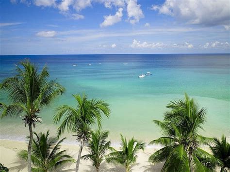 The Best Beaches In Barbados Rental Escapes