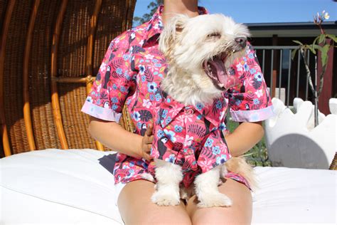 amoureux des chiens vous serez conquis par ces chemises hawaïennes