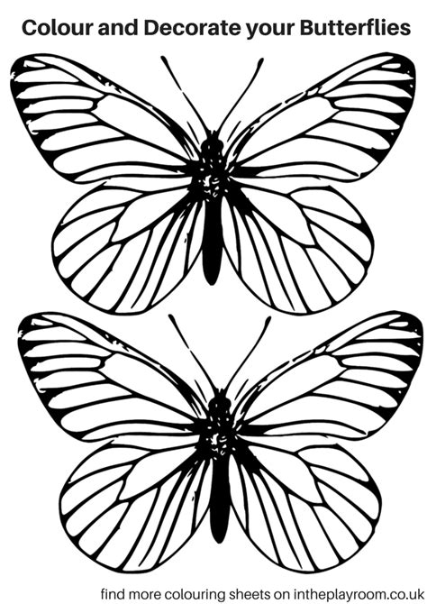printable butterfly colouring pages   playroom butterfly