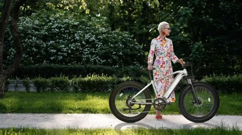 electric bikes safe  seniors