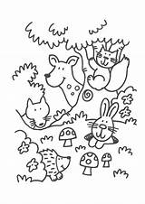 Kleurplaat Peuters Thema Herfst Herfstactiviteiten Kleurplaten Ministijl Bos Dierentuin Kinderkleurplaten Uitprinten Downloaden sketch template
