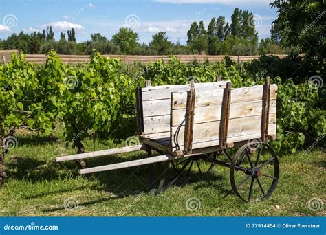 houten kar op een wijngaard stock foto image  amerika installatie