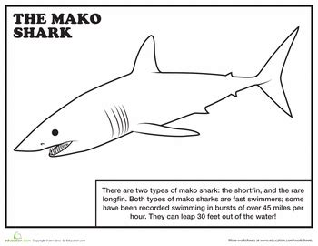 worksheets mako shark coloring page shark coloring pages mermaid