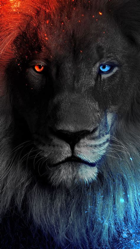 amazing collection  lion animal images  full  resolution   images