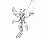 Sparx Dragonfly sketch template