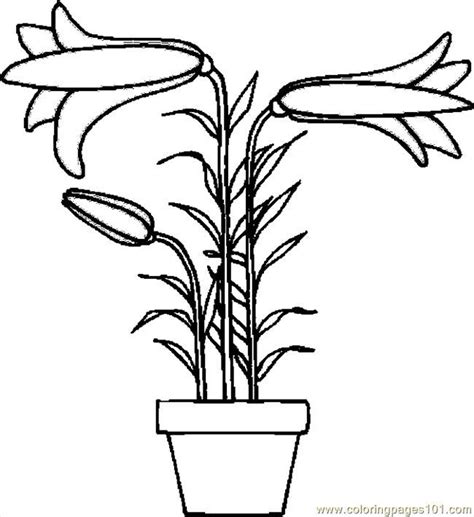 easter lily coloring page part