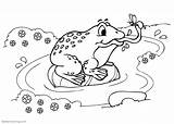Pond Frog Coloring Pages Bug Catching Printable Kids Color Adults sketch template