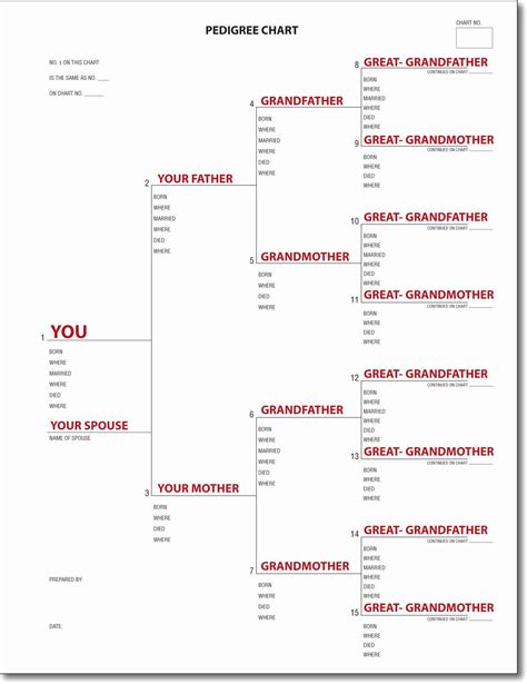 family tree chart   pedigree chart pedigree chart