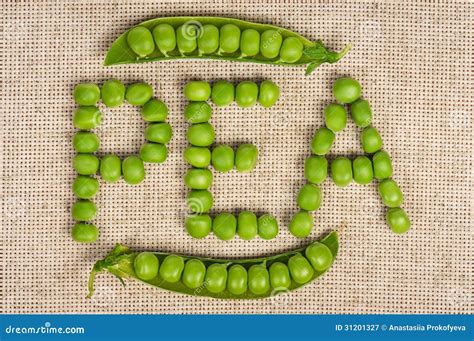green pea royalty  stock photography image