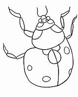 Ladybug Coloring Pages Printable Template Color Print Girl Clipart Bug Kids Cycle Life Lb2 Drawing Grouchy Getdrawings Getcolorings Animals Bestcoloringpagesforkids sketch template