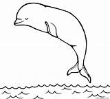 Whale Coloring Beluga Pages Printable Kids Cool2bkids sketch template