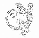Gecko Coloring Pages Colouring Getcolorings Crested Printable sketch template