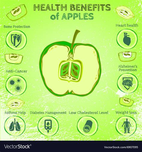 apple health benefits royalty  vector image