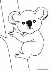 Koala Ausmalbild Dibujo Cool2bkids Ausdrucken Malvorlagen sketch template