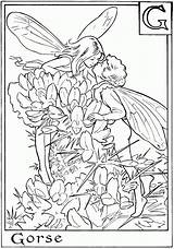 Coloring Flower Pages Fairy Popular sketch template