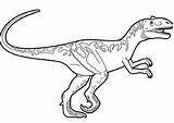 Iguanodon Pages Coloringpagesonly Coloring sketch template