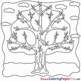 Spring Colouring Tree Kids Coloring Sheet Title sketch template