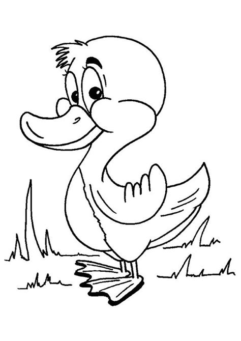printable duck coloring pages duck coloring pictures