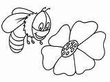 Bee Coloring Bumble Pages Bumblebee Outline Cute Queen Colouring Printable Clipart Cliparts Wonderland Clip Color Alice Lkg Bees Honey Kids sketch template