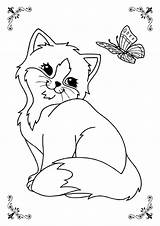 Gattino Gatito Kitten sketch template