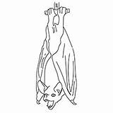 Bat Bats Upside sketch template