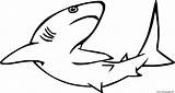 Hiu Mewarnai Ikan Requin Binatang Untuk Laut Coloriages Hewan Paus sketch template