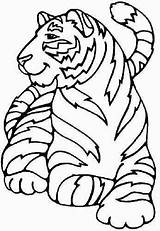 Colorat Tigri Animale P13 Planse Primiiani Desene sketch template