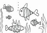 Rainbow Coloring Trout Getcolorings Remarkable sketch template
