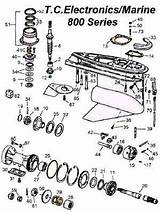 Omc Parts 800 Drive Stern Drawing Outdrive Sterndrive Lower Unit Seal Kit Marine sketch template
