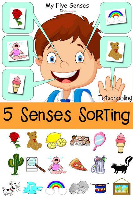 senses sorting printable senses preschool  senses preschool